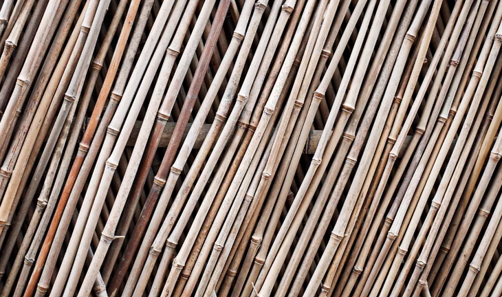 The bamboo ceiling remains, but not for women